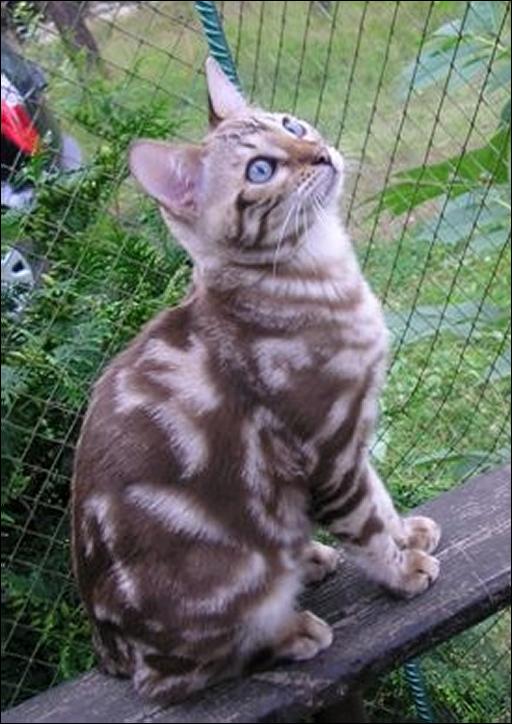 miot_d_205_zmniejszenie