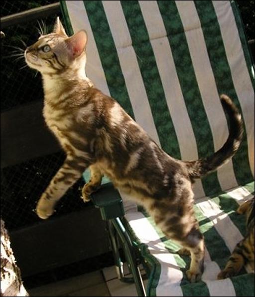 miot_d_266_zmniejszenie