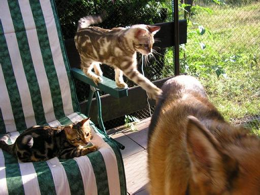 miot_d_273_zmniejszenie