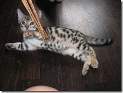 IMG_0256 (640x480) (2)