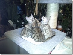 20141028_195913 (640x480)