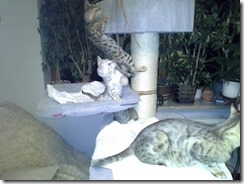 20141028_200225 (640x480)