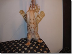 IMG_0551 (640x480) (640x480)